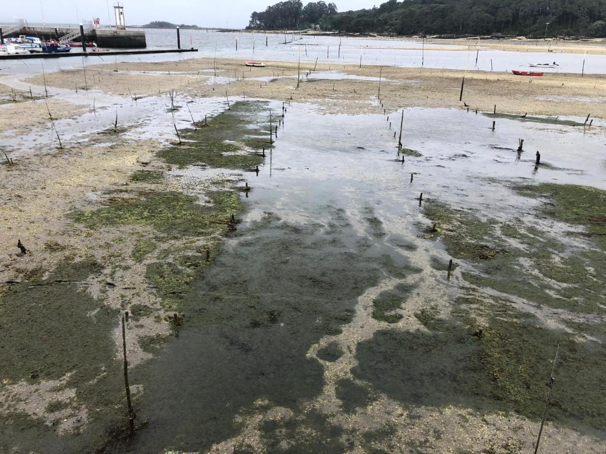 Alojamientos Rias Baixas- Casa Castillejos- Carril Вильягарсия-де-Ароса Экстерьер фото